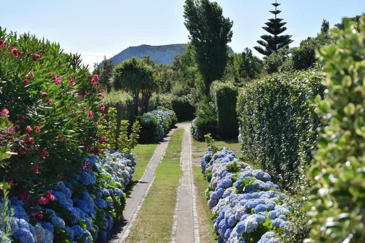 Quinta Da Meia Eira Castelo Branco  エクステリア 写真