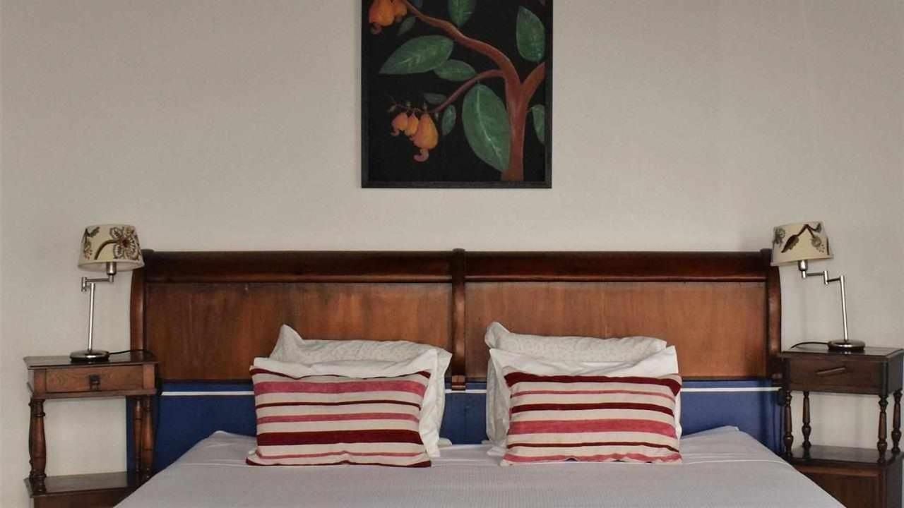 Quinta Da Meia Eira Castelo Branco  エクステリア 写真