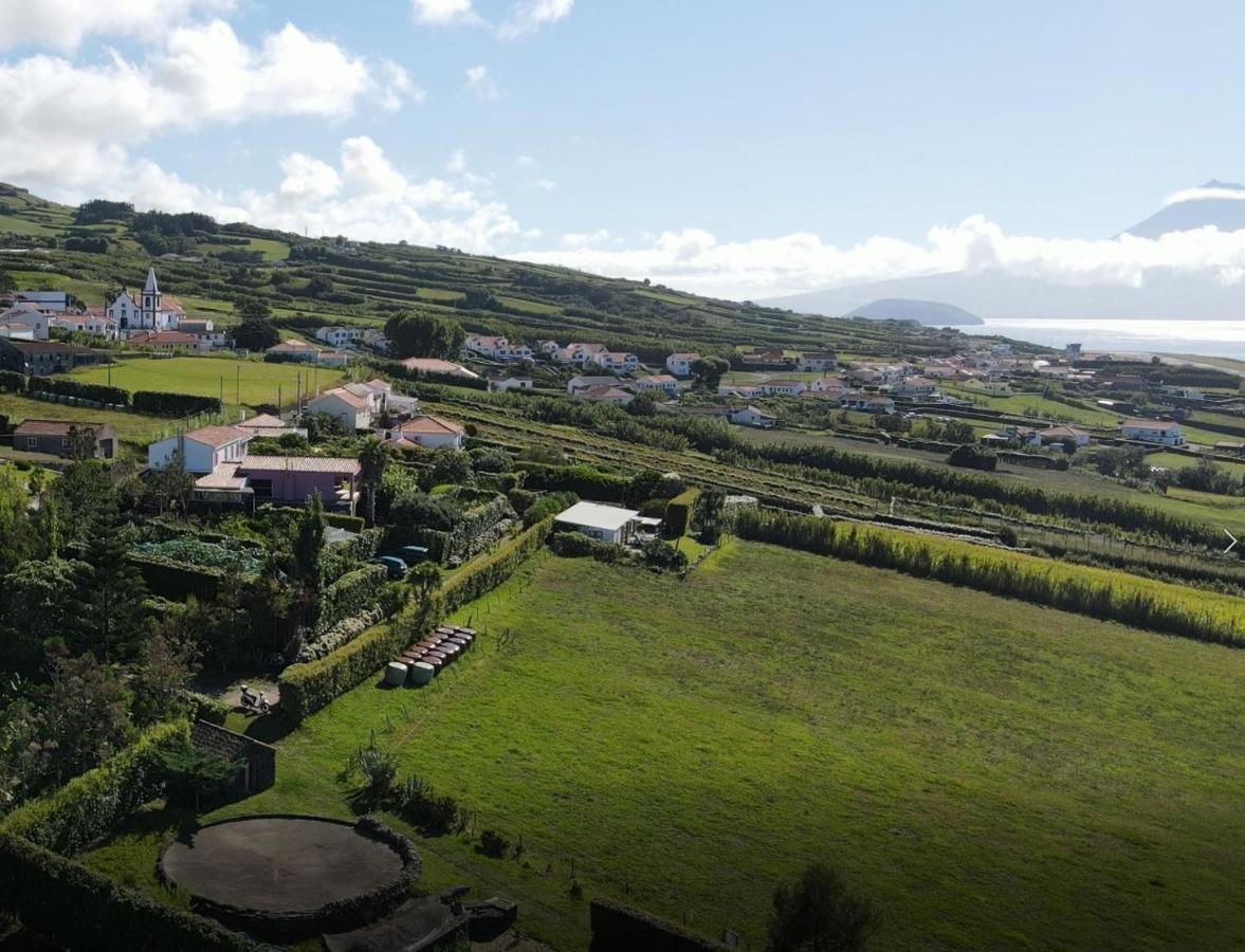 Quinta Da Meia Eira Castelo Branco  エクステリア 写真