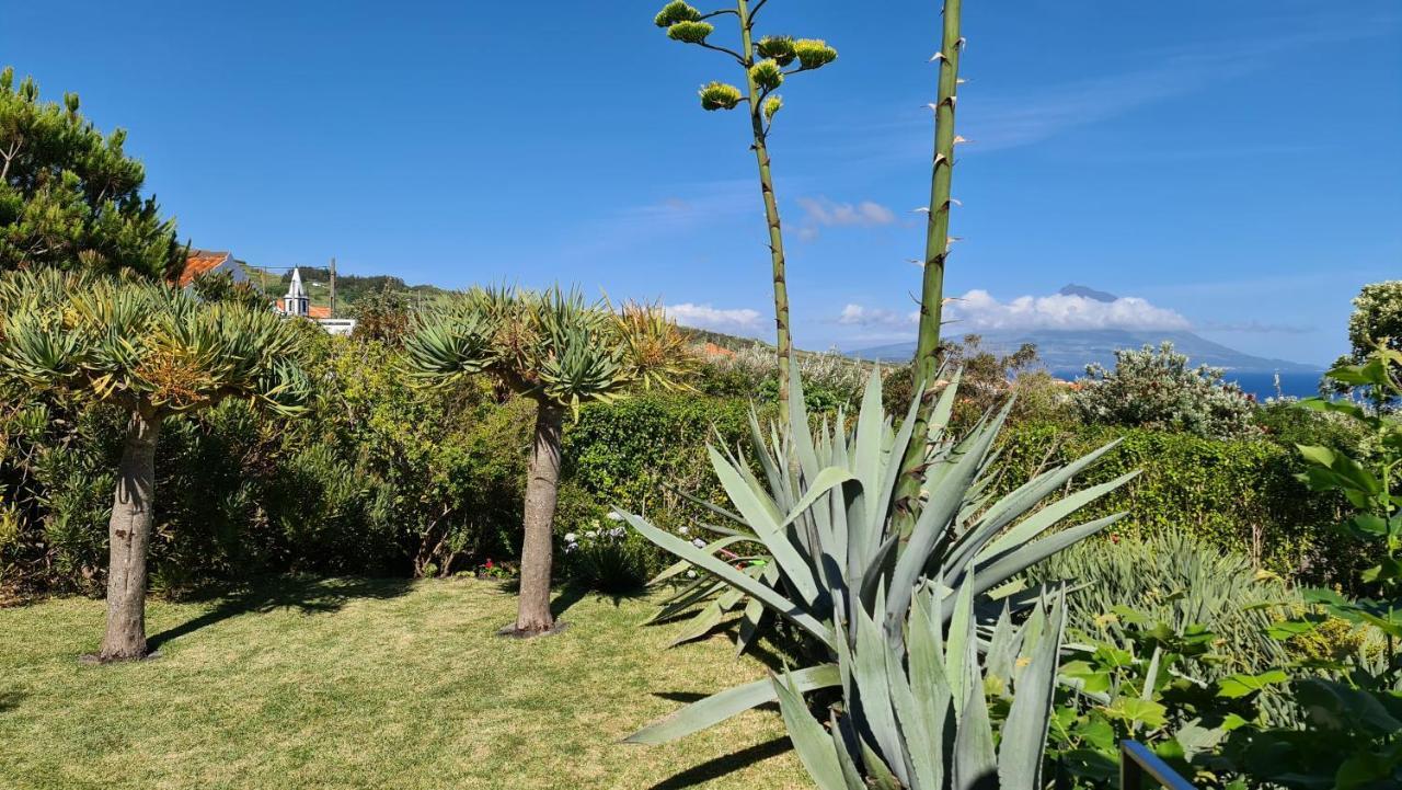 Quinta Da Meia Eira Castelo Branco  エクステリア 写真